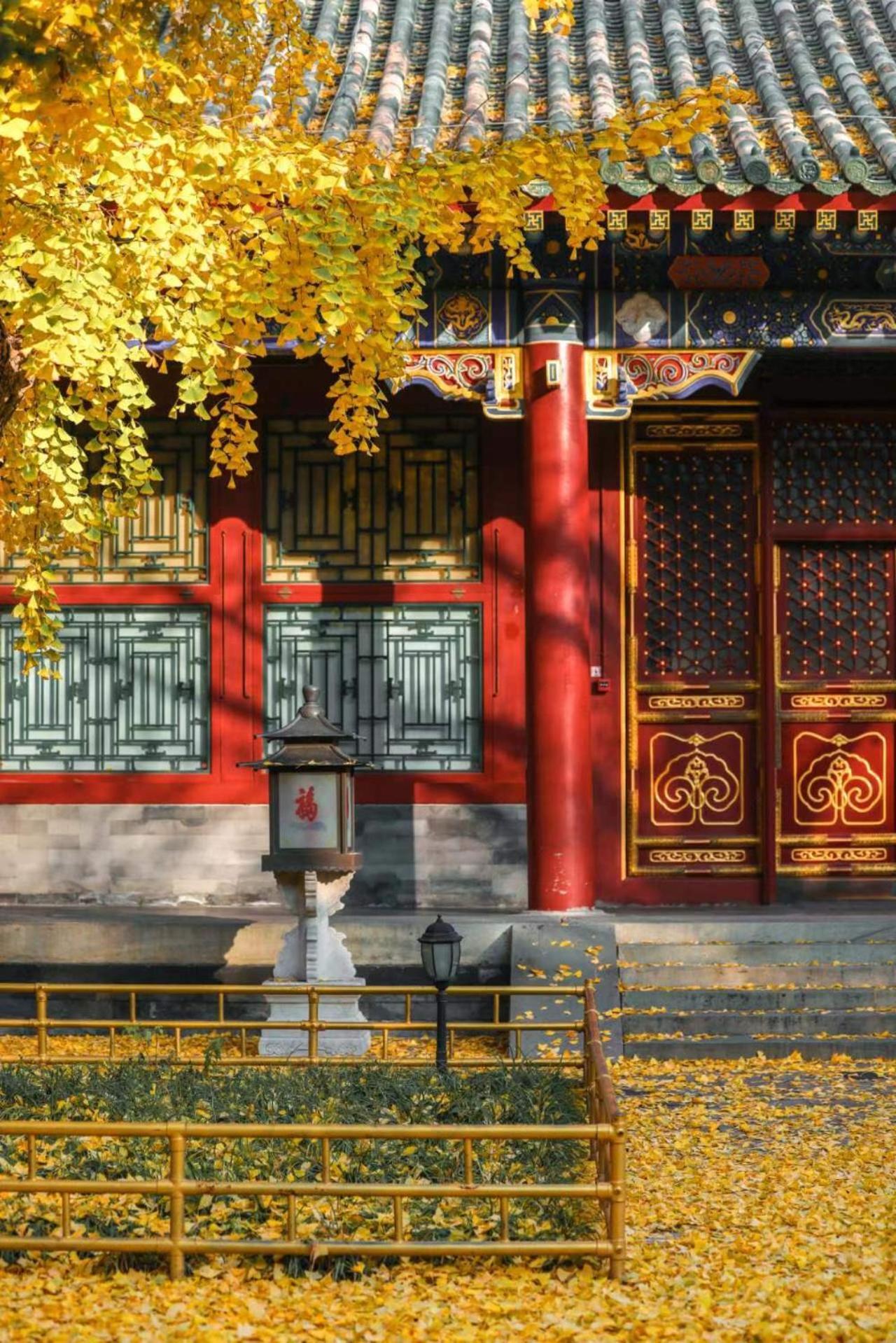 Nostalgia Hotel Near Prince Gong'S Mansion- Beihai Park, Tian'Anmen Square, Nanluoguxiang Hutong, Huguosi Hutong Snack Street, 5 Minutes Walk Away From Ping'Anli Subway Station, Free Ice Cream And Laundry Service,English Communication Well Beijing Eksteriør billede